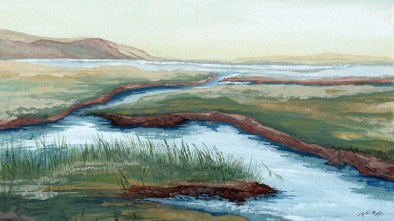 Upper Newport Bay